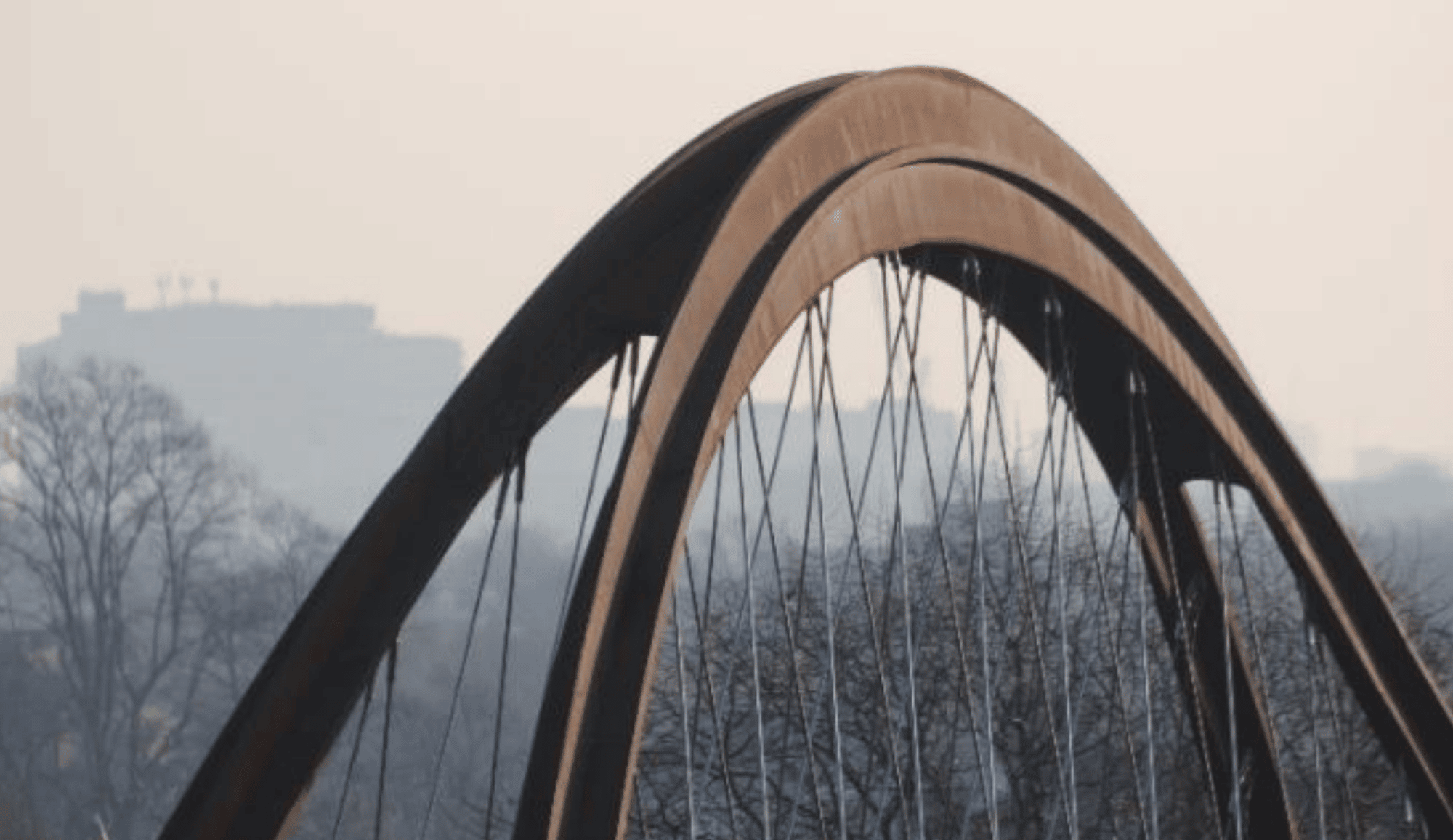 Nethercot Prize Shortlist 2022
